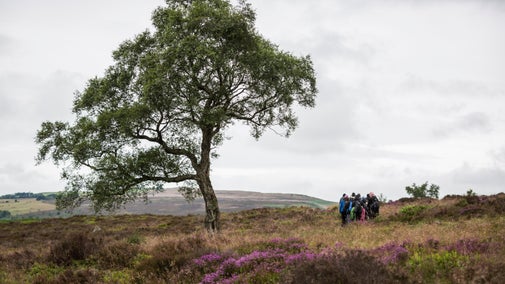 A group of teenagers with headscarves on looking out over a view of a heather moorland.